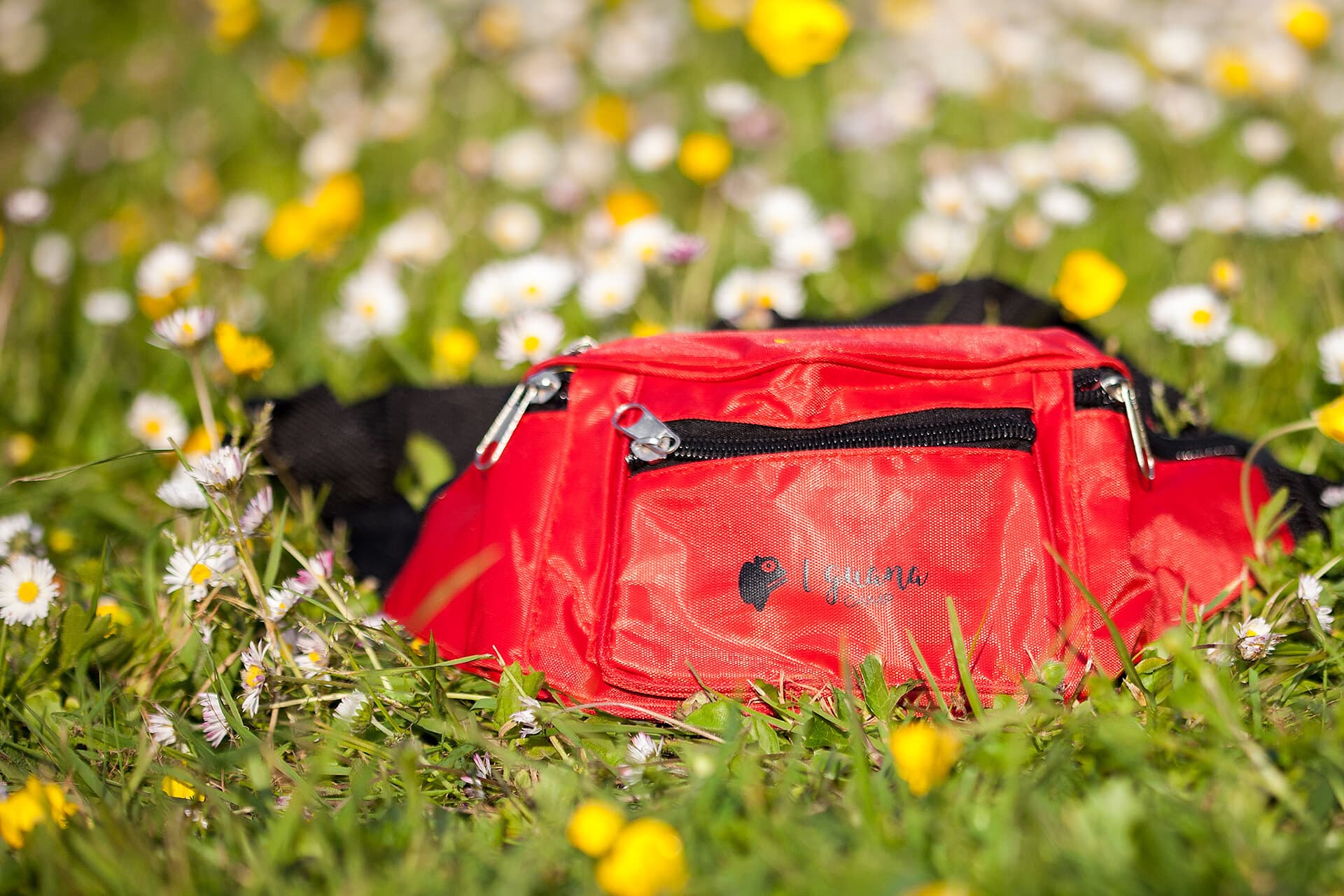 RIÑONERA ROJA IGUANA 1
