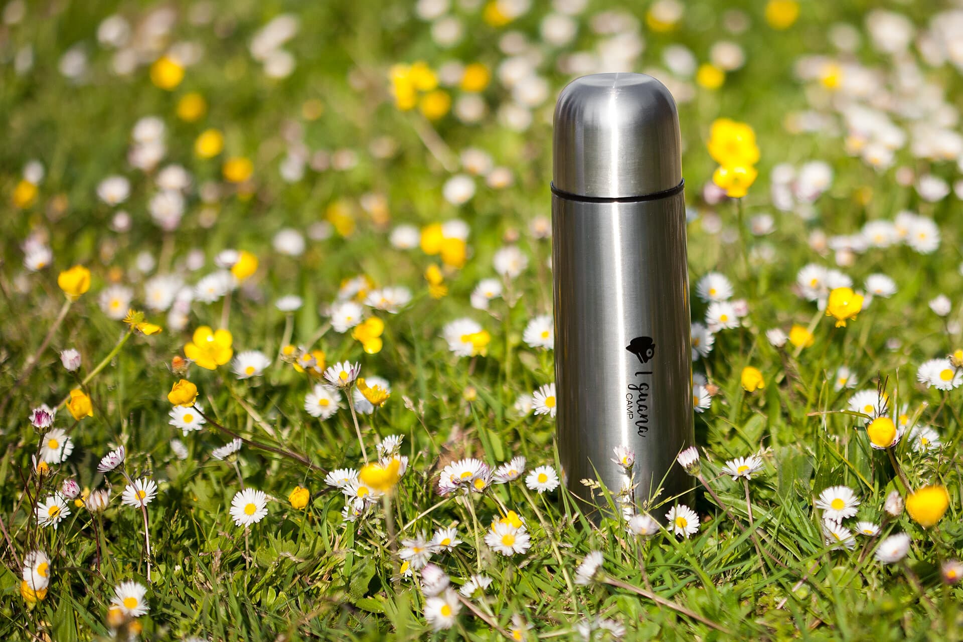 TERMO IGUANA ACERO INOX