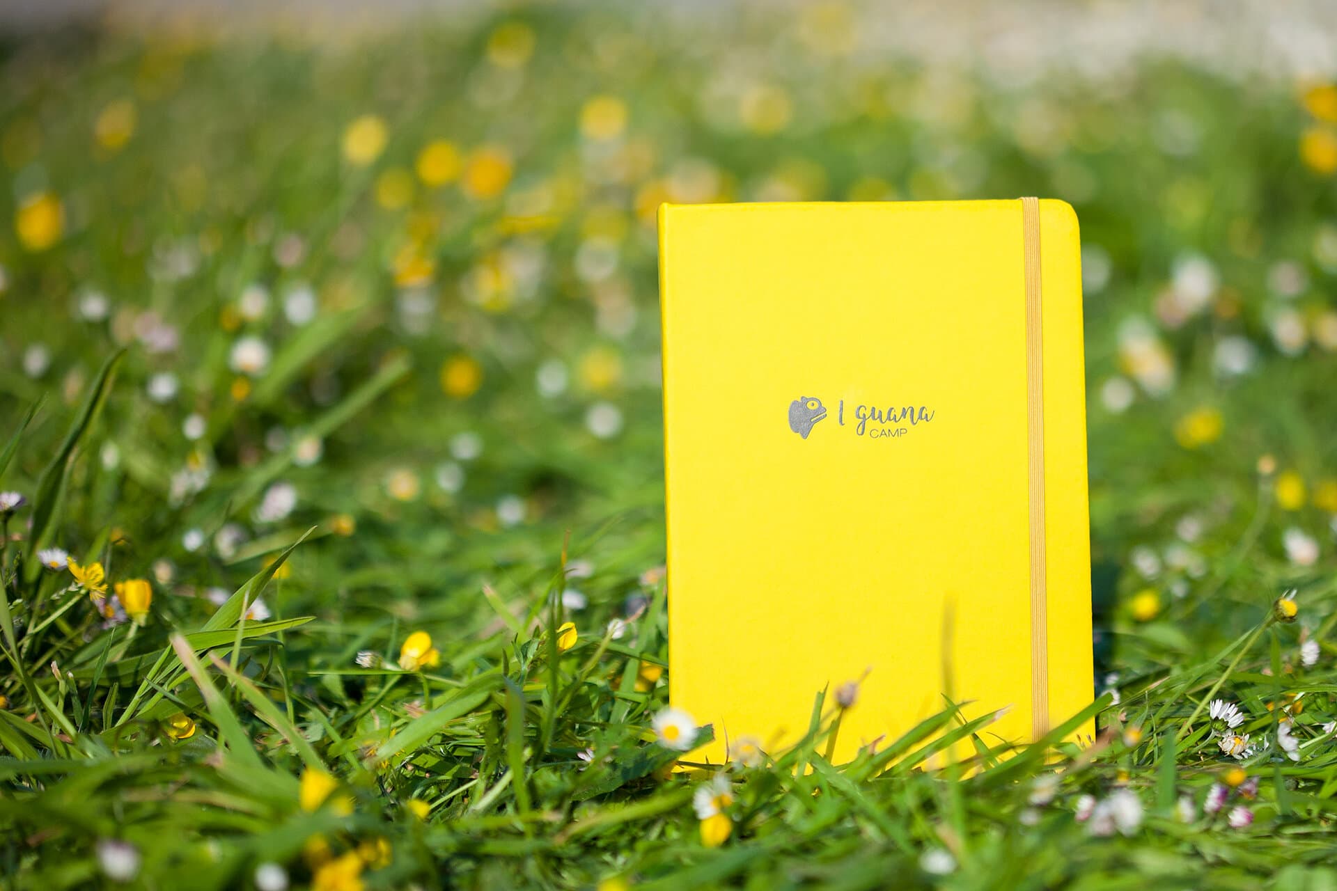 BLOCK DE NOTAS IGUANA