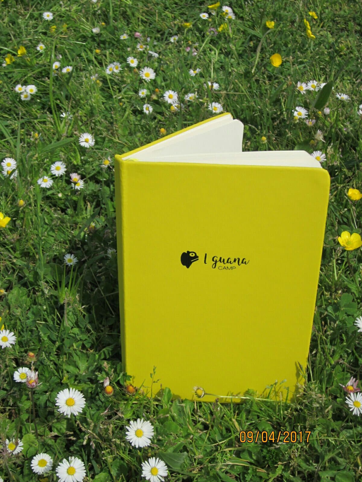 BLOCK DE NOTAS IGUANA 1